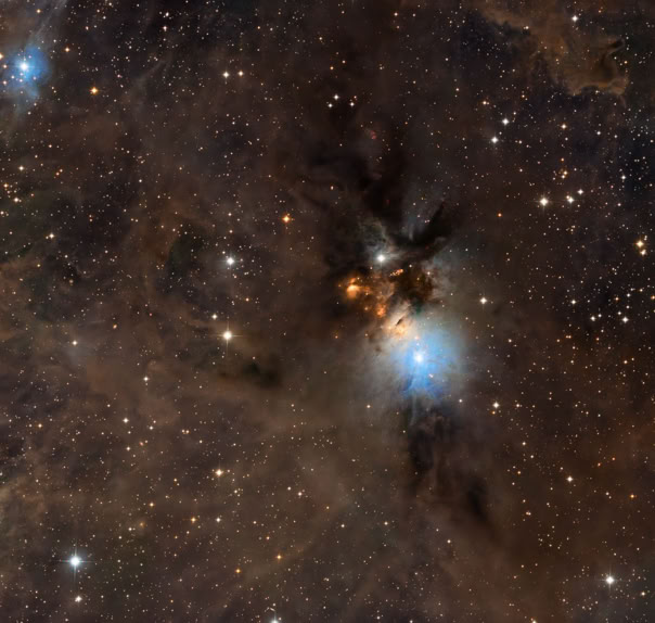 Embryo Nebula